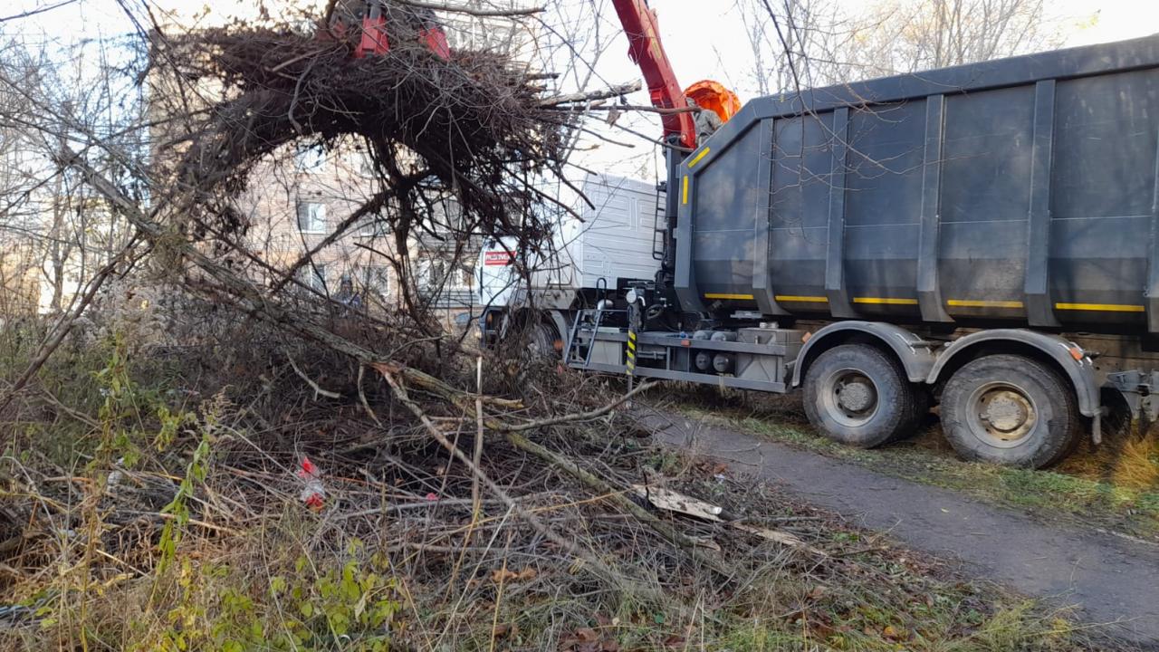 Организованы работы по вывозу свалок древесных отходов на улицах Гоголя и Черновицкая