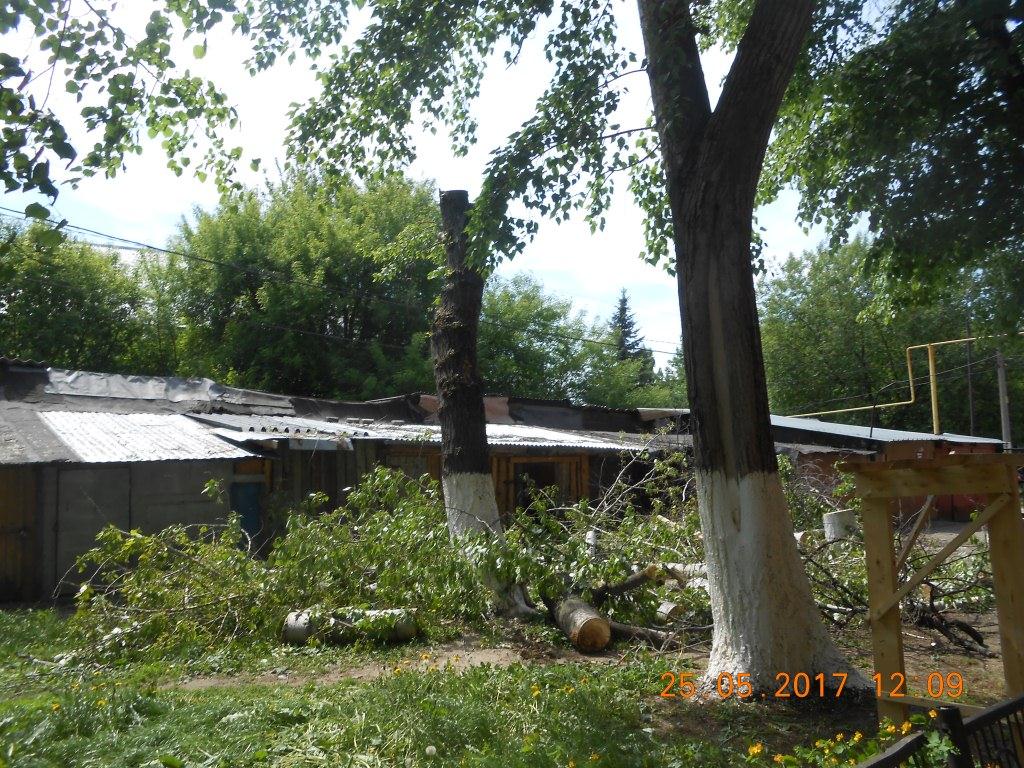 На территории Советского района проводится санитарная обрезка деревьев 25.05.2017