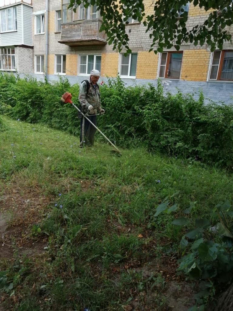 В Московском районе проводятся работы по окосу травы на придомовых территориях 13.08.2020