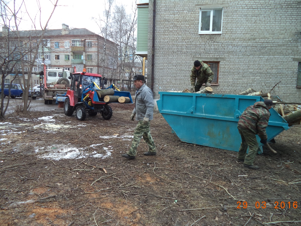 В Московском районе ведутся работы по сносу старых деревьев 29.03.2016
