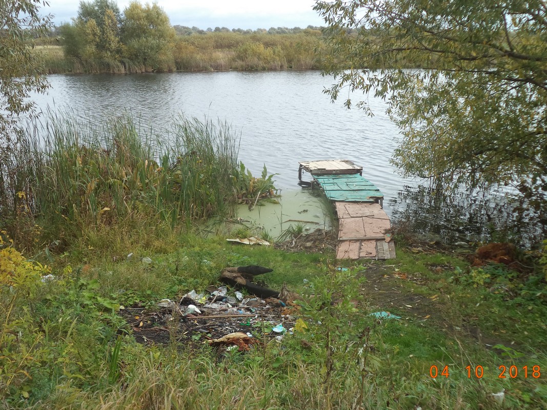 В Московском районе проведены работы по подбору мусора 10.10.2018