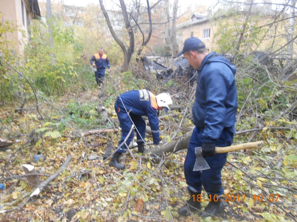 Проведены работы по сносу аварийных деревьев 18.10.2017