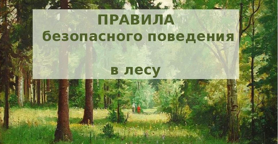 МКУ «УДТ города Рязани»  напоминает жителям о правилах безопасного поведения в лесу 27.09.2021
