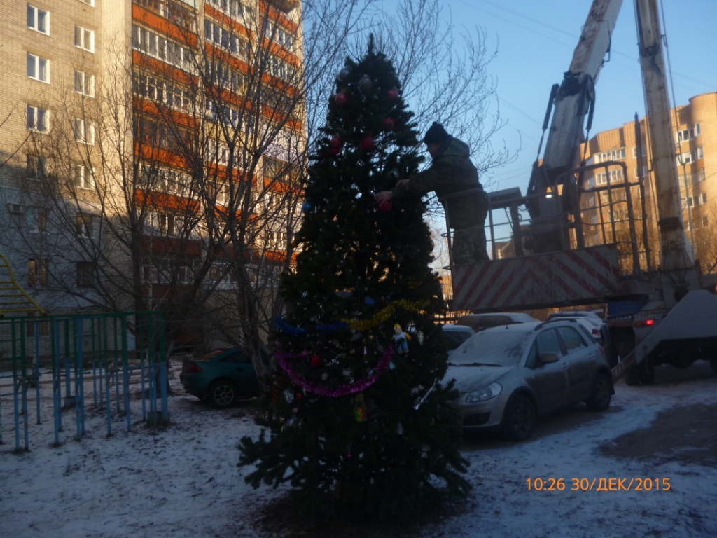 Префектура Советского района установила Новогодние ели во дворах жилых домов
