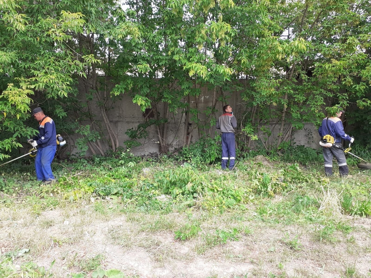 В Октяборьском районе продолжаются работы по окосу травы
